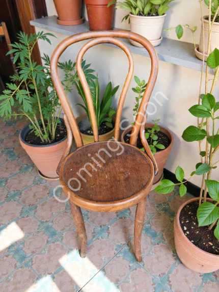 Vintage Bentwood Chair